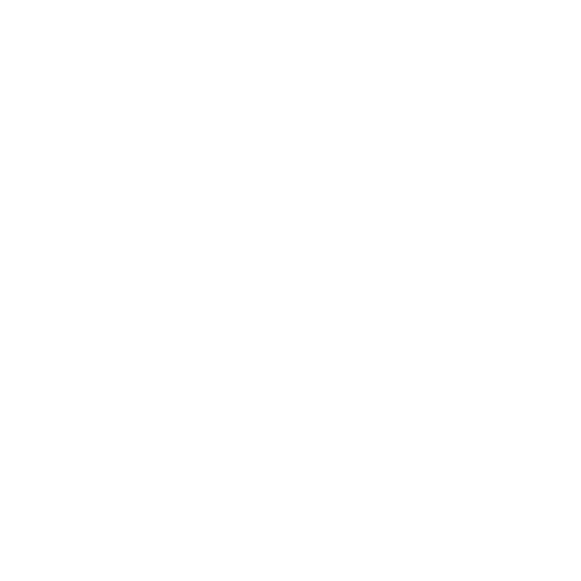 SAE IT-systems